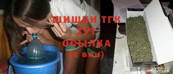 меф Арсеньев