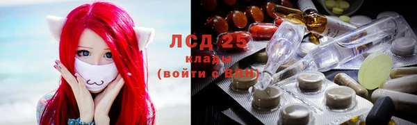стаф Баксан