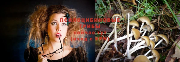 прущие грибы Балабаново