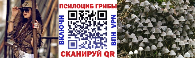 Галлюциногенные грибы мухоморы  Урюпинск 